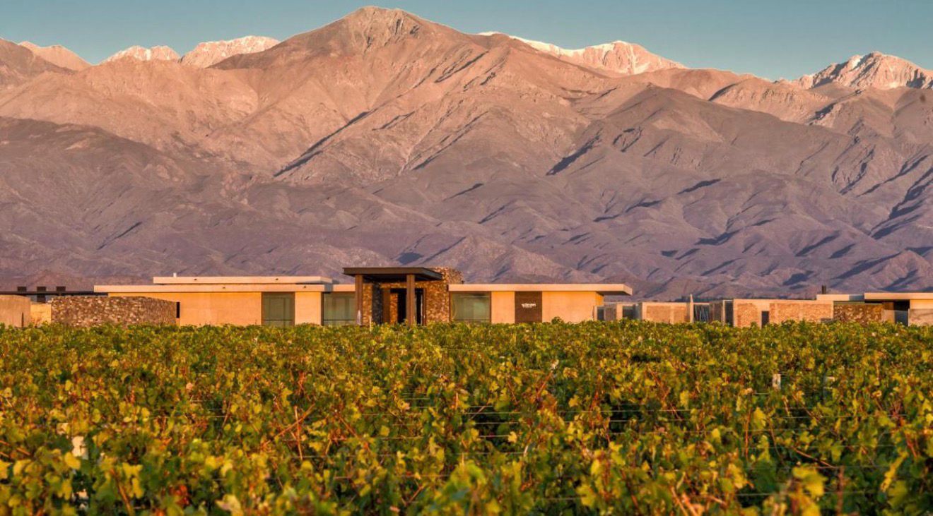 The Vines Resort and Spa